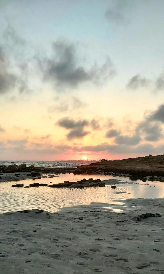 Panthoma Casa Daire Aya Napa Dış mekan fotoğraf